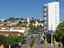 jacutinga